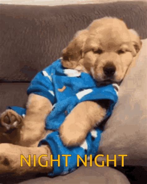 good night dog gif